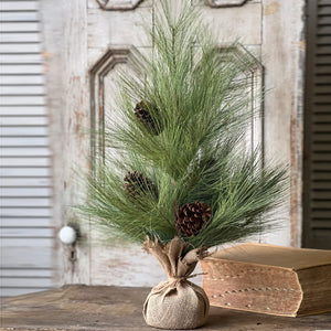 Long Needle Pine Tree - 30"