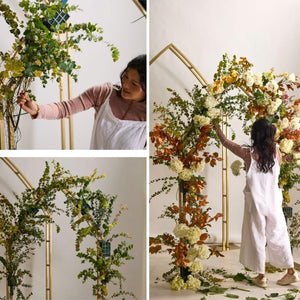 Cathedral Display Arches