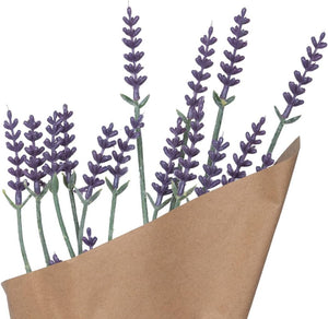 Lavender Bundle