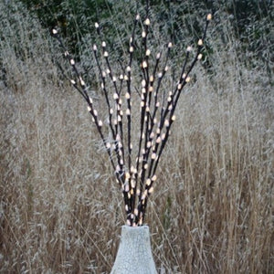 Luminous Pussy Willow Stems - 80 LED