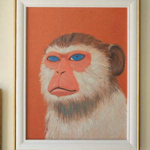 Playful Menagerie Framed Animal Prints Set