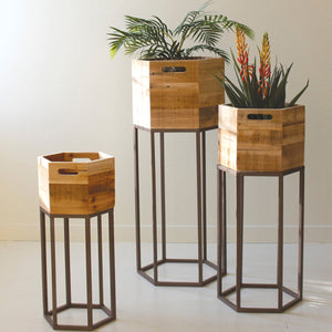 Botanical Elegance Planters