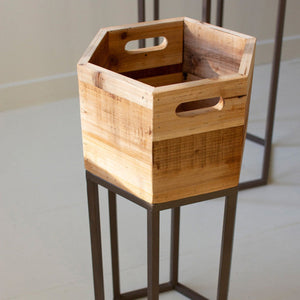 Botanical Elegance Planters