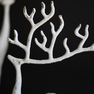 Enchanted Antler Duo