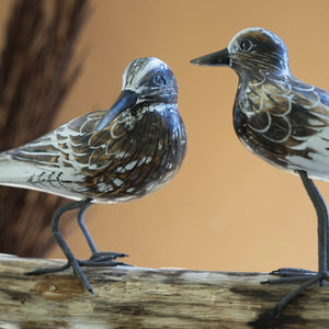 Driftwood Aviary Trio