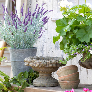 Dellarobia Garden Bowl