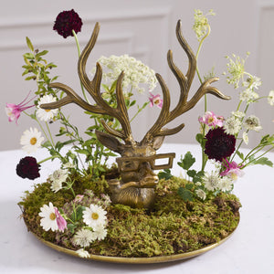 Frankie the Buck Tray