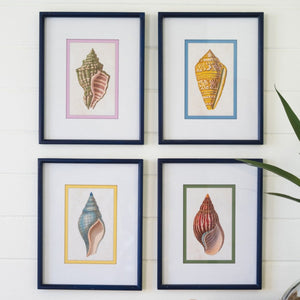 The Tidal Collection – Shell Prints