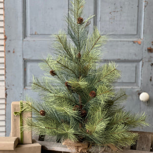 Northern Soft Pine Tree - 30"