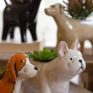 Close-up of ceramic poodle and terrier dog planters with succulents