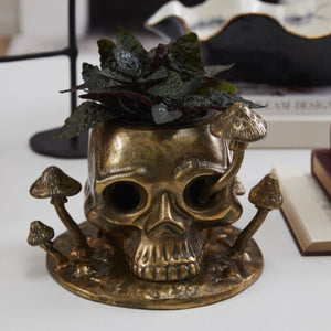 Enigmatic Alchemy Planter