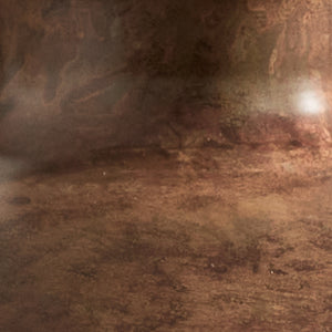 Timberline Moose Pendant Light