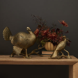 Bronze Feathered Fowls