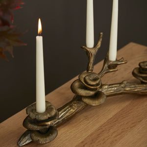 Oyster Mushroom Candle Holder