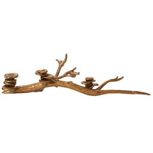 Oyster Mushroom Candle Holder