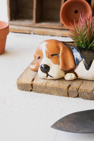 Close-up of sleepy ceramic beagle planter with succulent