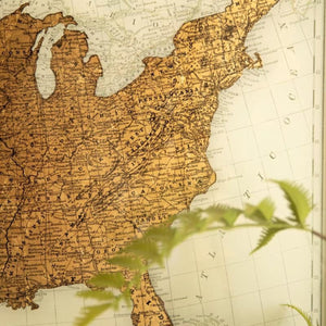 Close-up of metallic gold USA map print