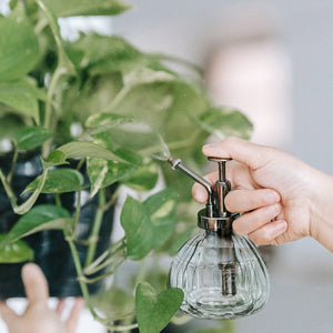 Vintage Style Plant Mister