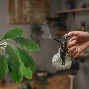 Vintage Style Plant Mister
