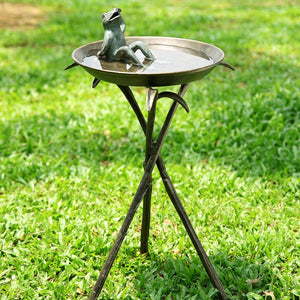 Happy Frog Birdbath