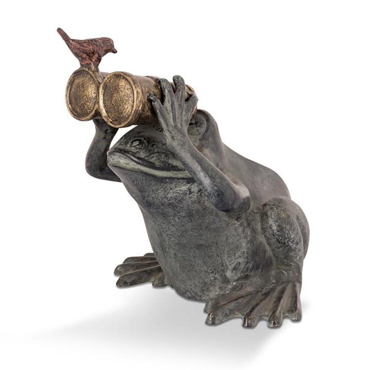 Frog Spectator Garden Statue-Iron Accents