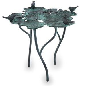 Two-in-One Bird Bath/Feeder