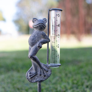 Decorative Frog Rain Gauge