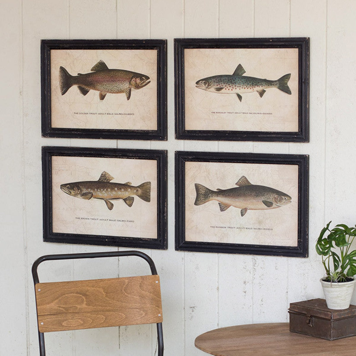 Trout Print Grouping