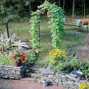 Diamond Garden Arbor-Iron Accents