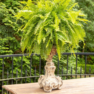 Cast Relic Candle Holder-Iron Accents