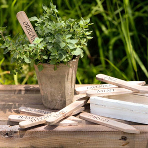 Herb Plant Stakes-Iron Accents
