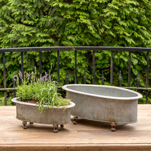 Centerpiece Planters (Set-2)-Iron Accents