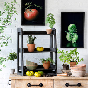 Three Tier Herb Rack
