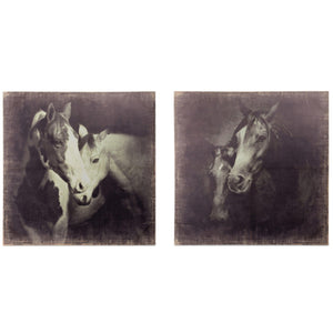 Unbridled Framed Prints