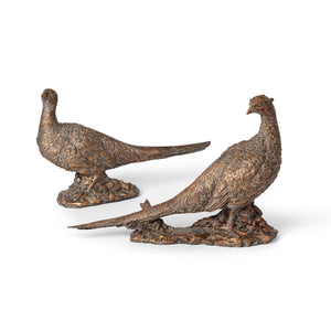 Bronze Pheasant Pair