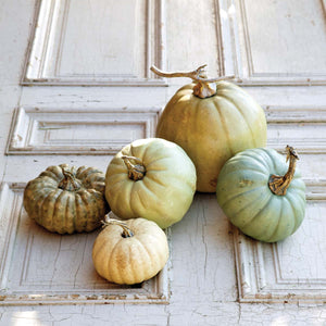 L'automne Pumpkins (Set-5)-Iron Accents