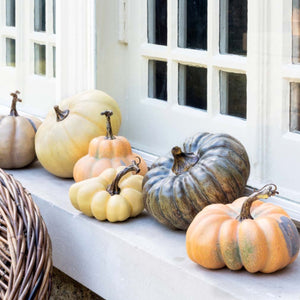 le Potiron Pumpkin Collection (Set-6)-Iron Accents