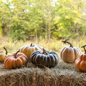 le Potiron Pumpkin Collection (Set-6)-Iron Accents