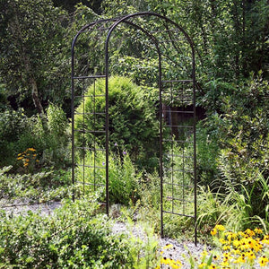 Leonardo Arbor-Iron Accents