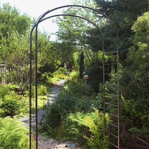 Leonardo Arbor-Iron Accents