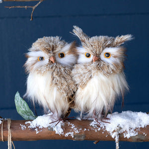 Feathered Horned Owls
