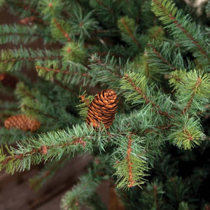 7.5' Park Hill Blue Spruce LED-Iron Accents