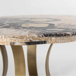 Zebra Polished Onyx Table Top
