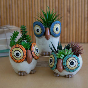 Set of 3 glazed ceramic owl planters with succulents