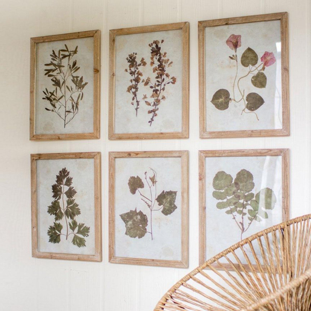 Leaf Prints Under Glass (Set-6)-Wall | Iron Accents