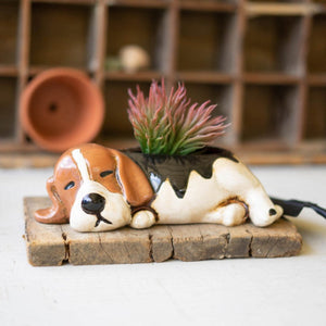 Sleepy ceramic beagle dog planter with a succulent