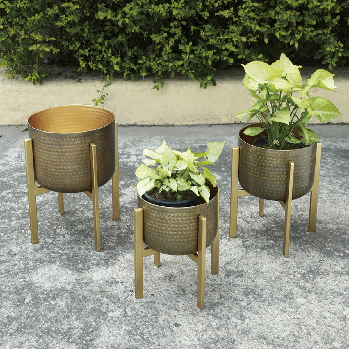 aluminum plant rack Metal Plant Holder Trio | Stylish Aluminum Plant Holders