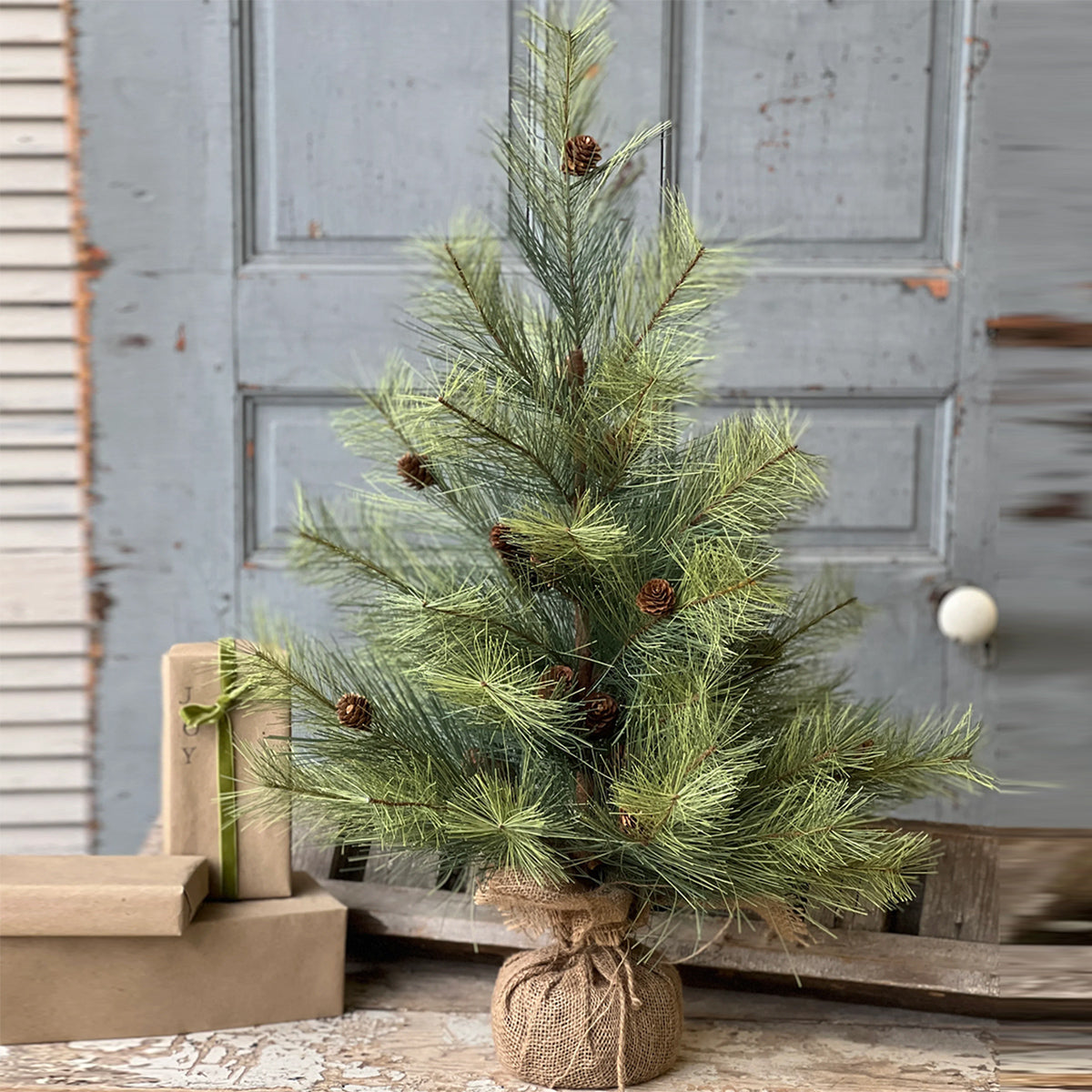 Northern Soft Pine Tree - 30"