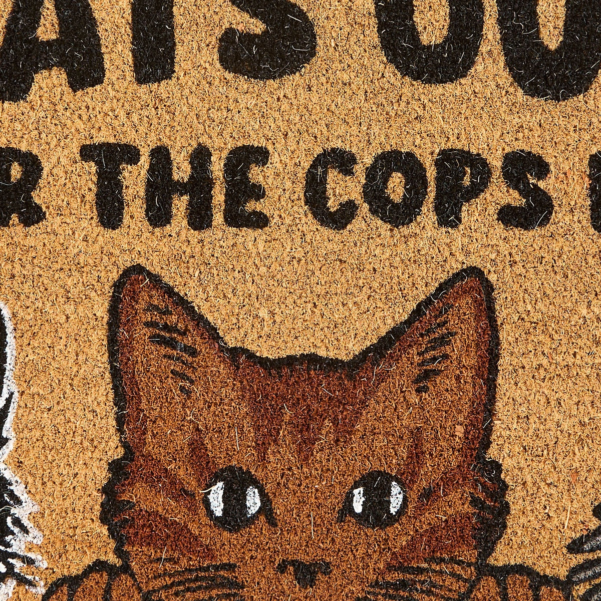 Cat House Rules Welcome Mat