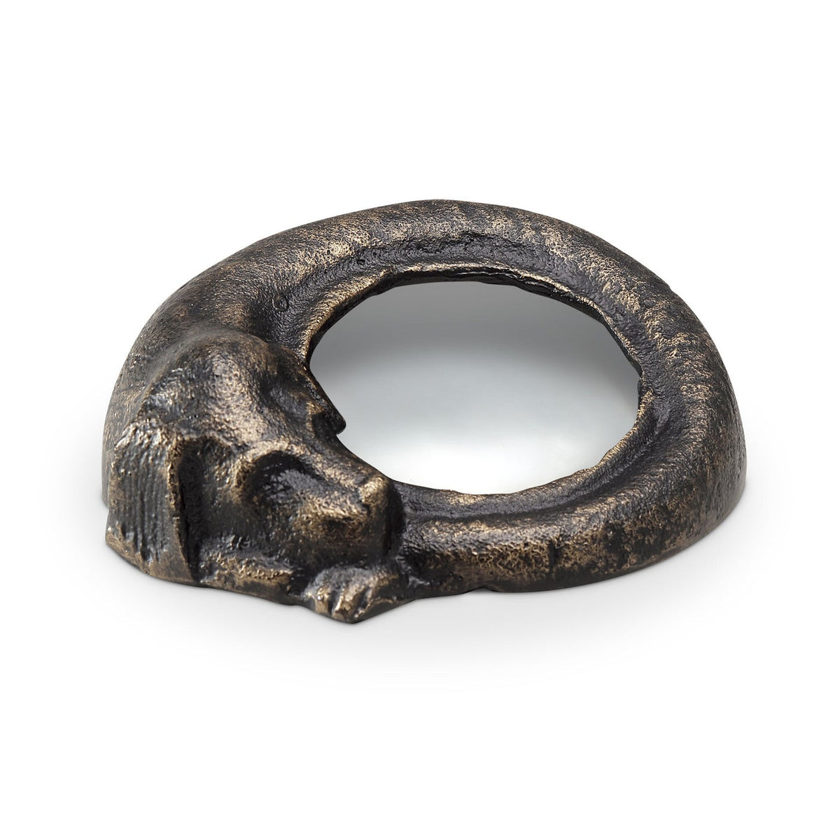 Sleeping Dog Magnifier